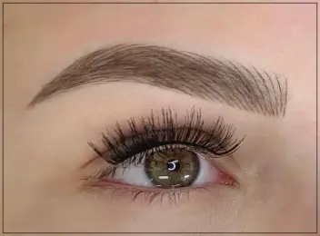 Close-up of combination eyebrows, blending microblading and shading techniques for a fuller, natural look.